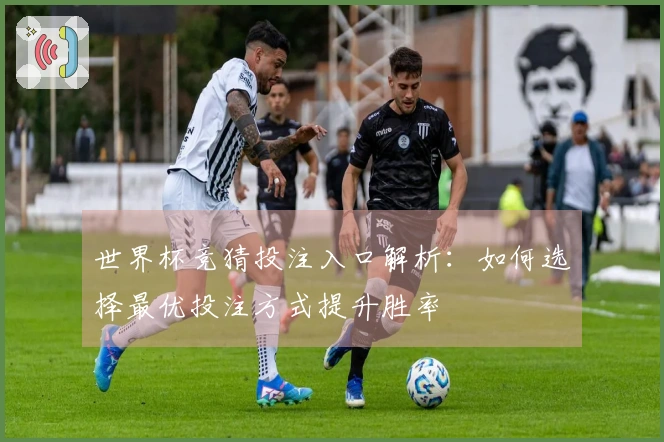 世界杯竞猜投注入口解析：如何选择最优投注方式提升胜率