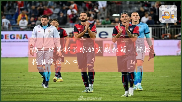 揭开世界杯买球的实战秘籍,轻松找准投注入口