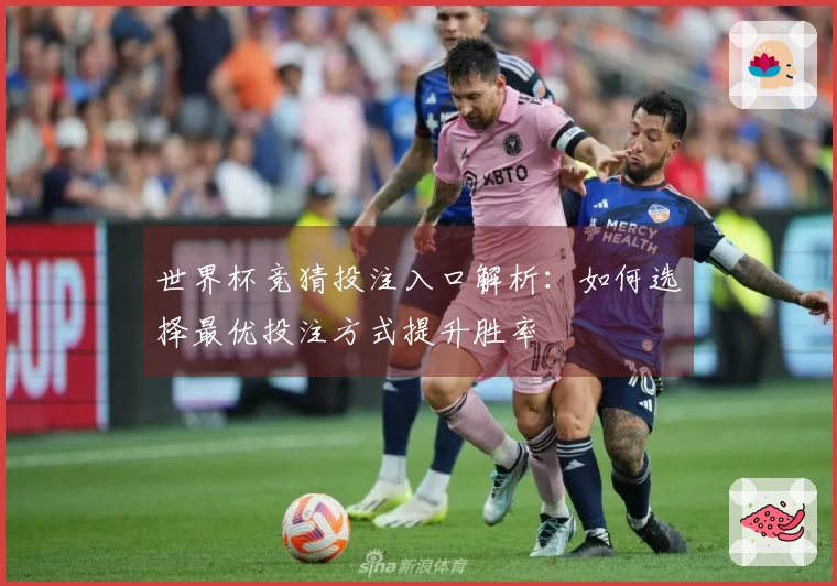 世界杯竞猜投注入口解析：如何选择最优投注方式提升胜率