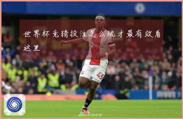 世界杯竞猜投注怎么玩才最有效看这里