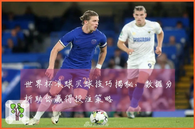 世界杯滚球买球技巧揭秘，数据分析助你赢得投注策略