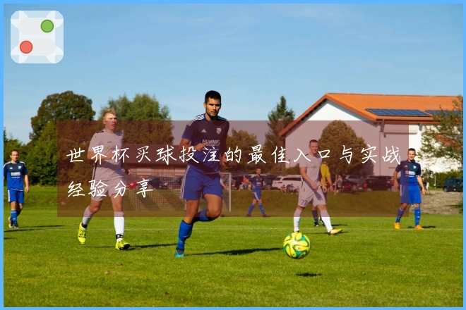 世界杯买球投注的最佳入口与实战经验分享