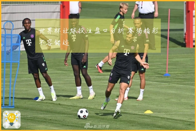 世界杯让球投注盘口分析 赛场精彩不容错过