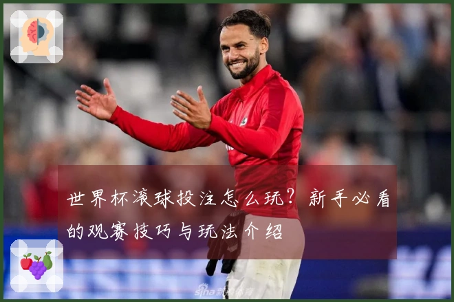 世界杯滚球投注怎么玩？新手必看的观赛技巧与玩法介绍
