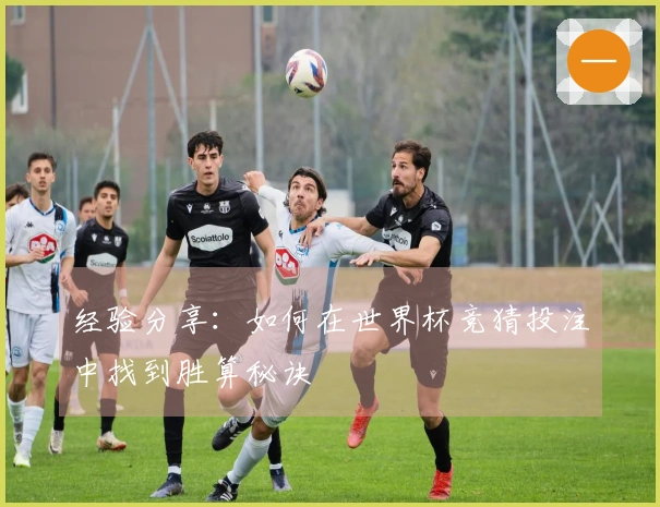 经验分享：如何在世界杯竞猜投注中找到胜算秘诀
