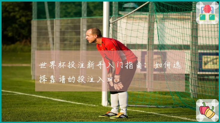 世界杯投注新手入门指南：如何选择靠谱的投注入口