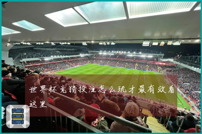 世界杯竞猜投注怎么玩才最有效看这里