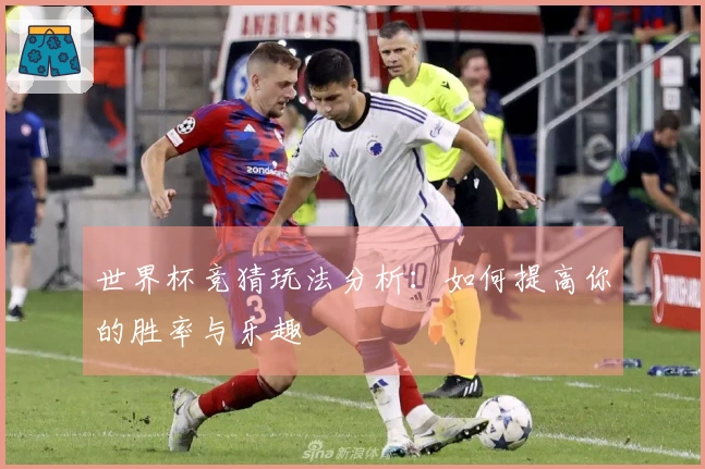 世界杯竞猜玩法分析:如何提高你的胜率与乐趣
