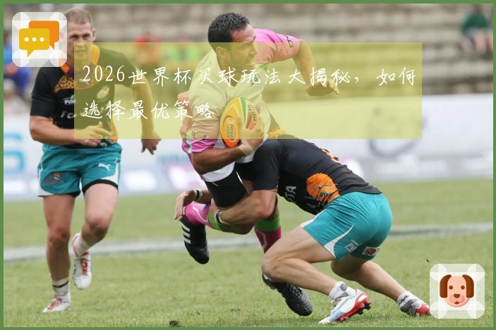 2026世界杯买球玩法大揭秘，如何选择最优策略