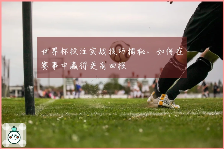 世界杯投注实战技巧揭秘，如何在赛事中赢得更高回报
