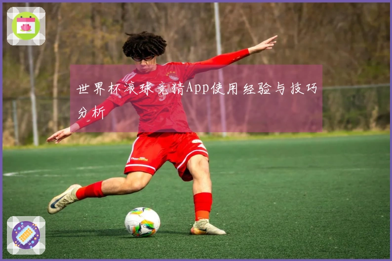 世界杯滚球竞猜App使用经验与技巧分析