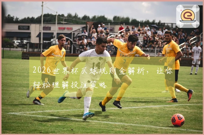 2026世界杯买球规则全解析，让你轻松理解投注策略