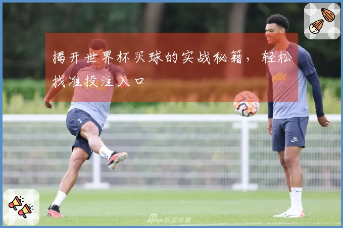 揭开世界杯买球的实战秘籍，轻松找准投注入口