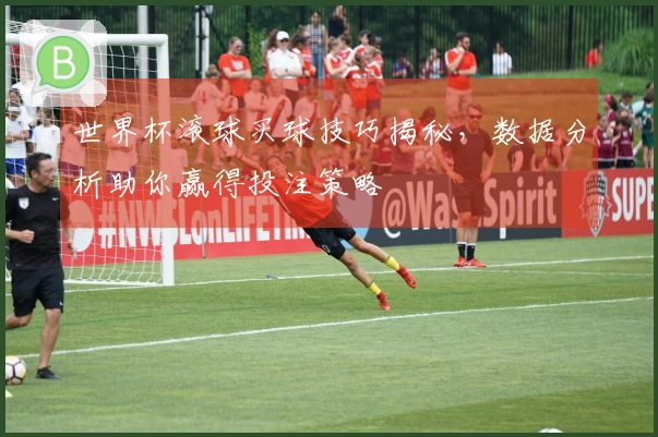 世界杯滚球买球技巧揭秘，数据分析助你赢得投注策略