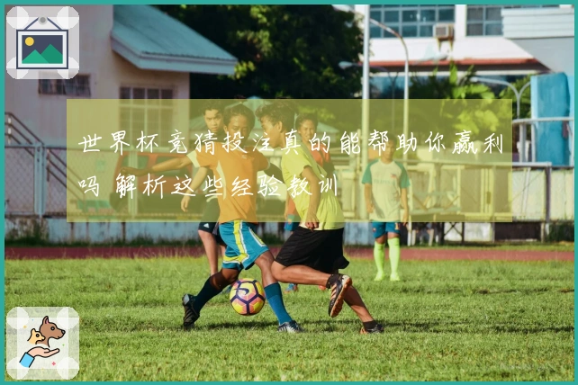 世界杯竞猜投注真的能帮助你赢利吗 解析这些经验教训