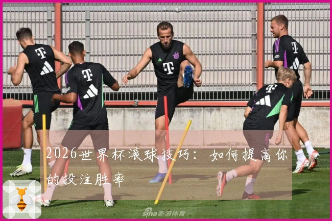 2026世界杯滚球技巧：如何提高你的投注胜率